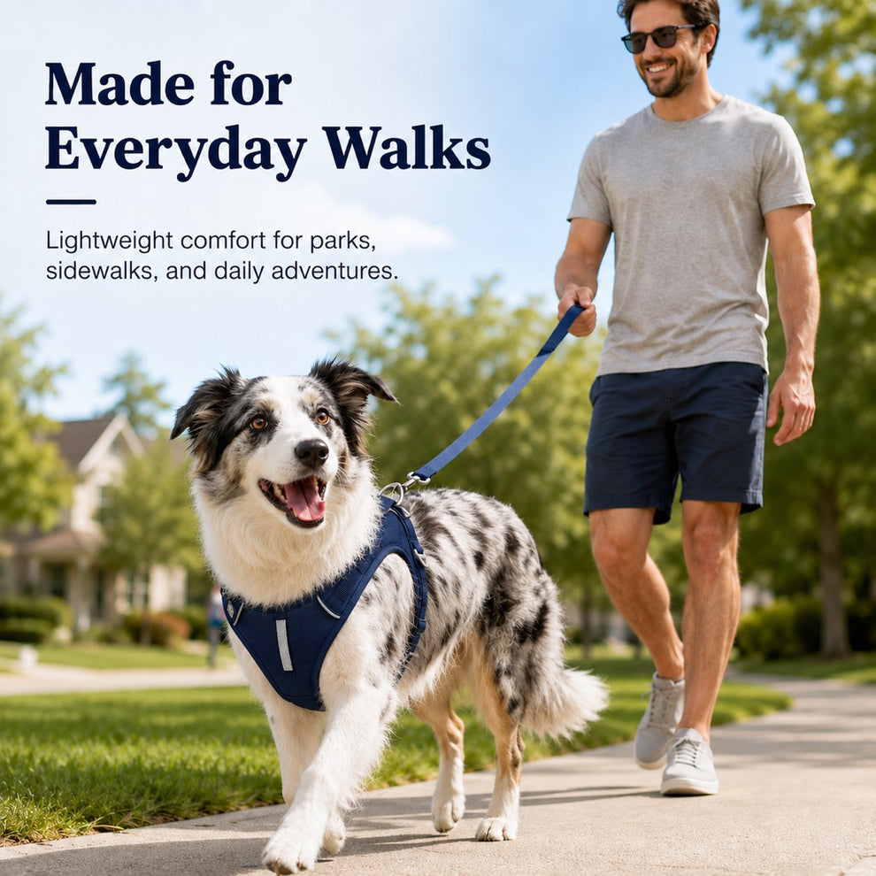 Paws in Awe Reflective Dog Harness for Night Walks, Daily Park Walks & No-Neck-Pull Comfort image 4