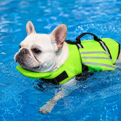 Neon green Frenchie FloatGuard reflective angel-wing dog life jacket