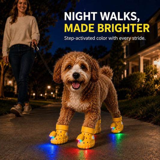 Paws in Awe Step-Activated RGB Light-Up Dog Boots for Night Walks – Low-Light Visibility & Lightweight EVA Paw Coverage image 2