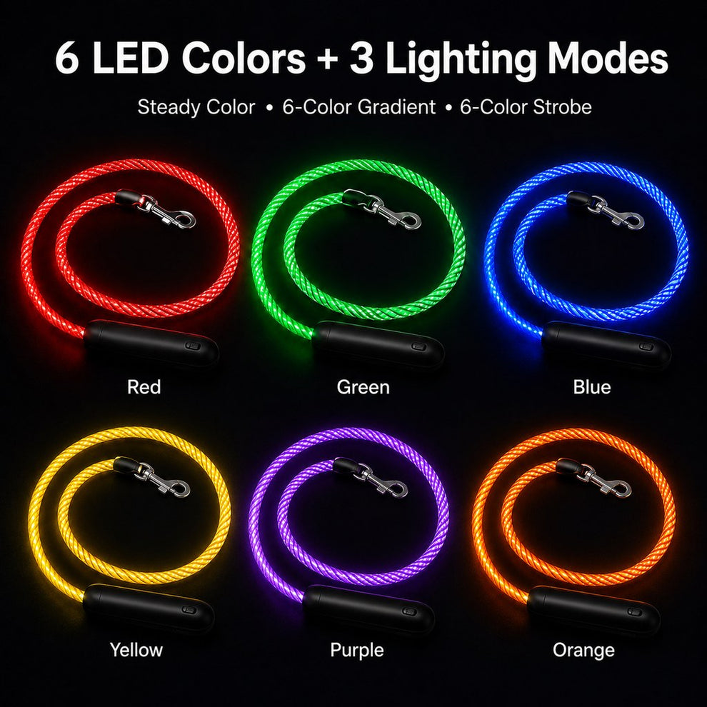 NightGlow LED dog leash with 6 LED colors and 3 lighting modes