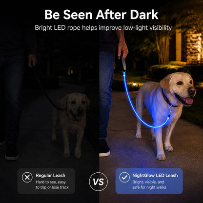 NightGlow LED dog leash night walk lifestyle image