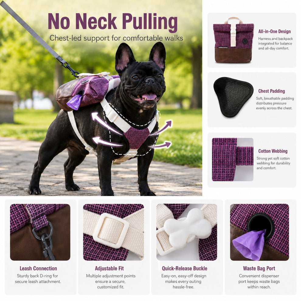 No neck pulling Frenchie backpack harness