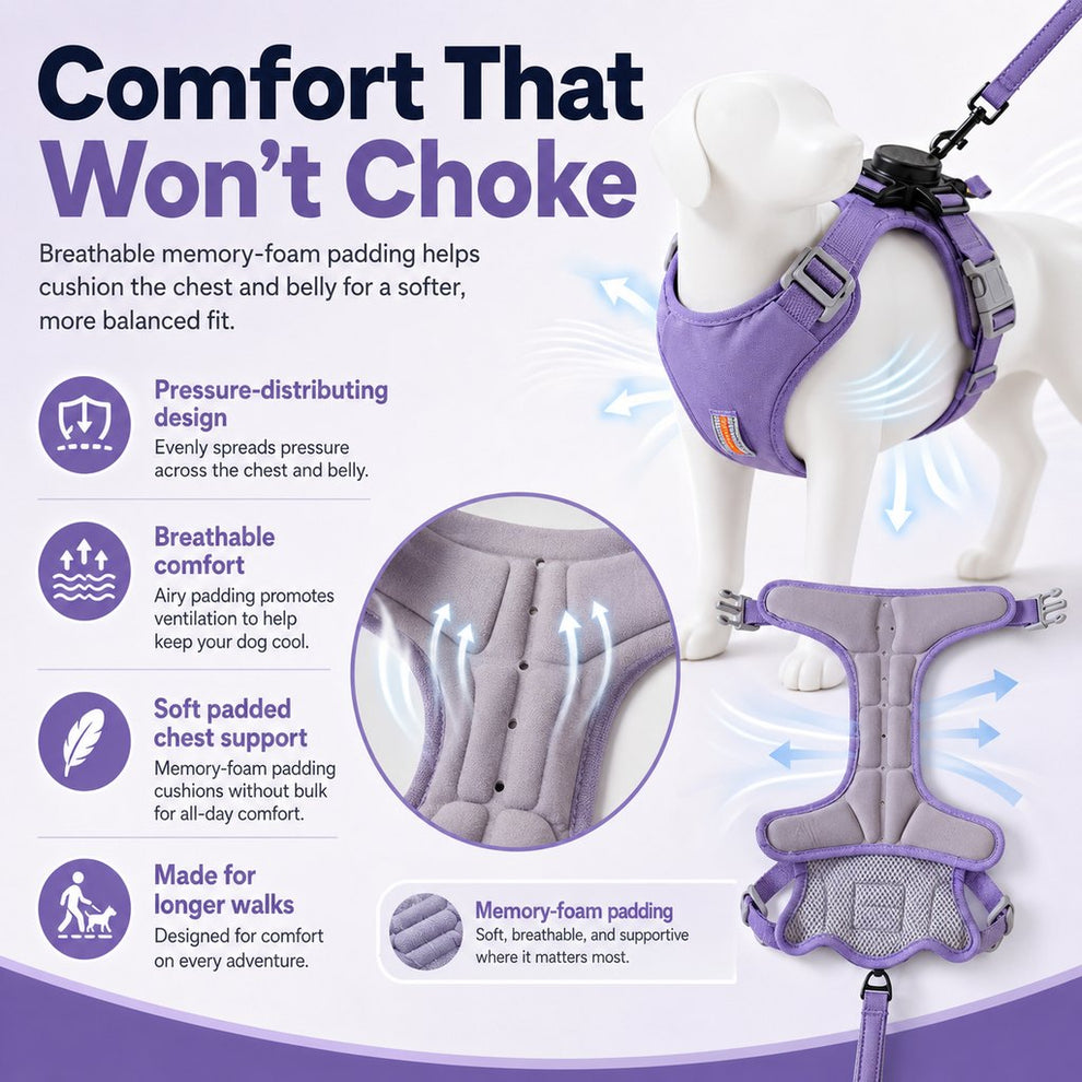 Paws in Awe 2-in-1 No Pull Dog Harness with Built-in Retractable Leash - Safe & Comfortable Control for Daily Walks & Outdoor Adventures image 5