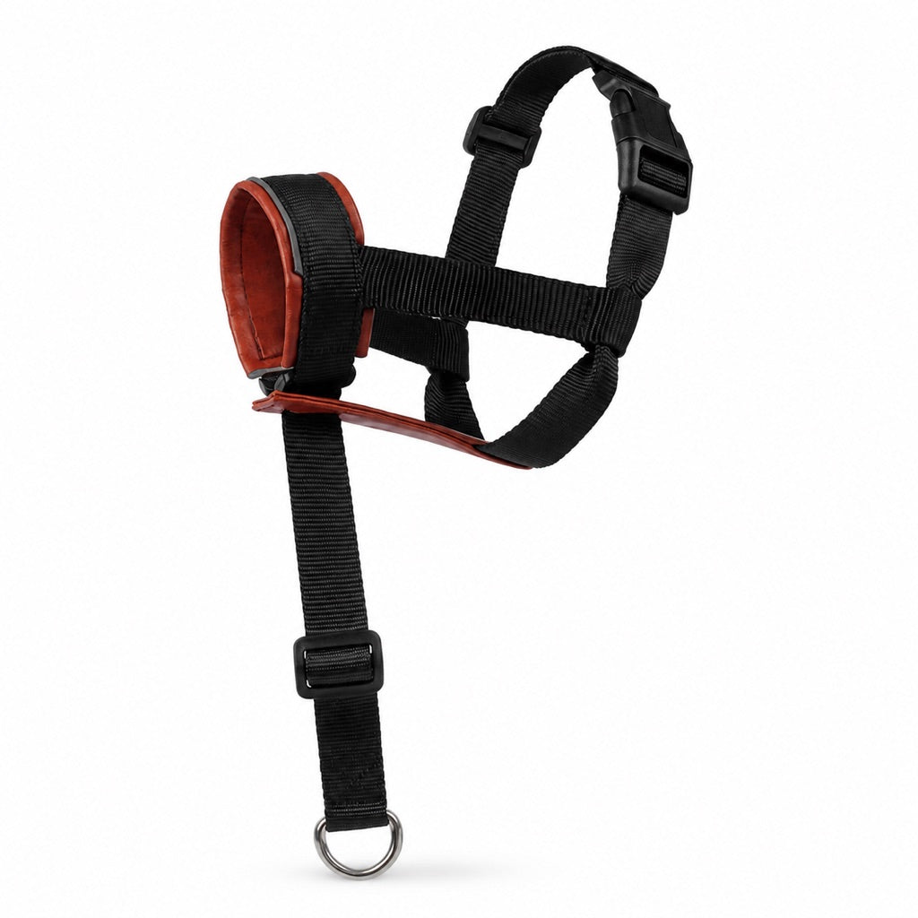 Paws in Awe No-Pull Dog Head Halter for Daily Walks - Adjustable Padded Training Muzzle to Help Reduce Pulling image 12