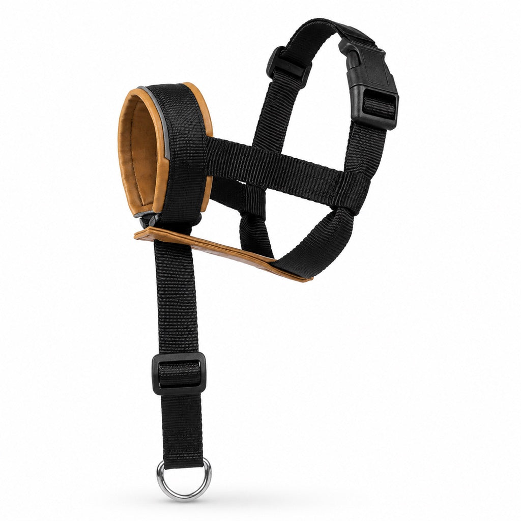 Paws in Awe No-Pull Dog Head Halter for Daily Walks - Adjustable Padded Training Muzzle to Help Reduce Pulling image 13