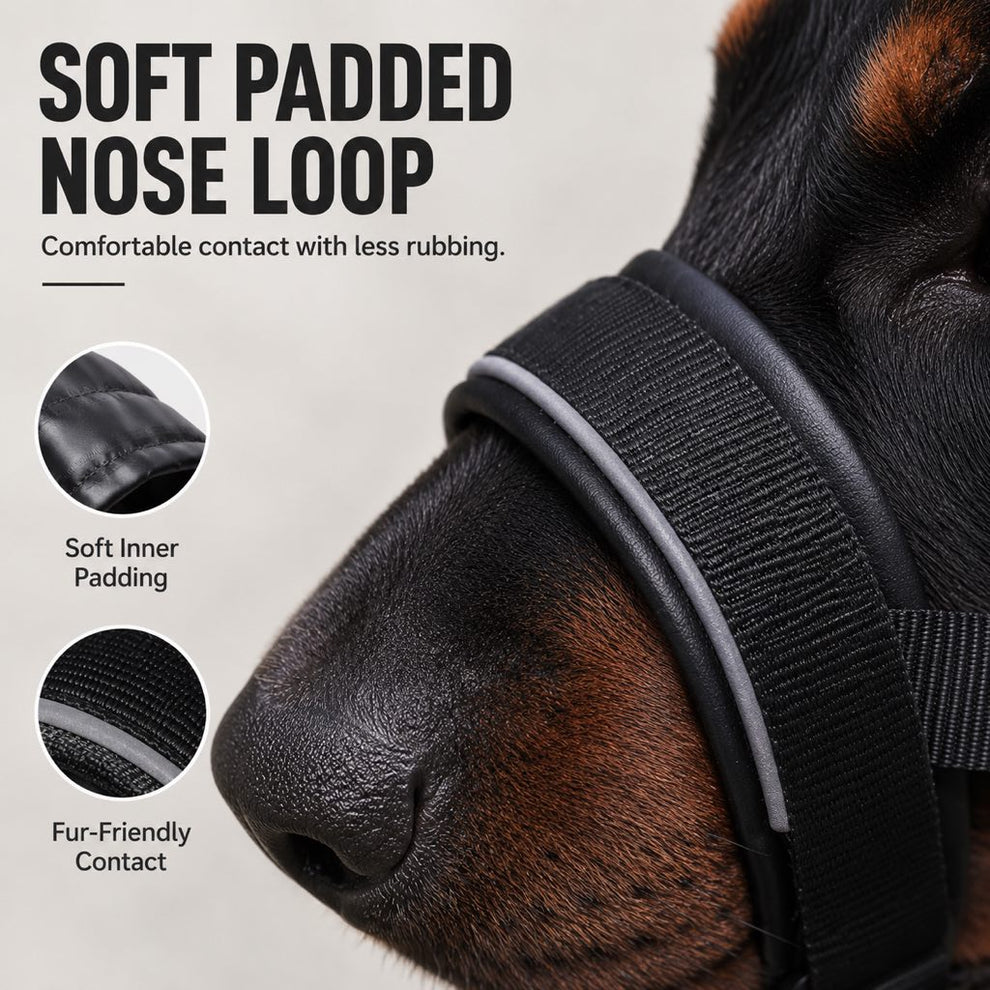 Paws in Awe No-Pull Dog Head Halter for Daily Walks - Adjustable Padded Training Muzzle to Help Reduce Pulling image 6