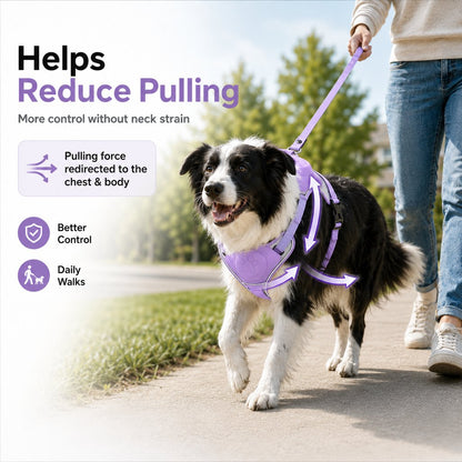 Paws in Awe No-Pull Reflective Dog Harness with Built-In Retractable Leash for Safer Daily Walks image 4