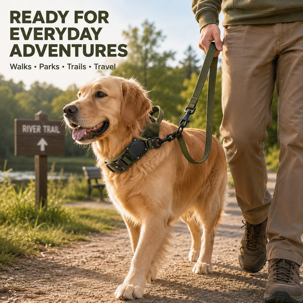 Olive green AirTag-compatible tactical dog collar