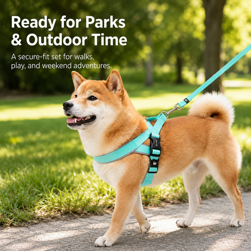 Paws in Awe Quick-Fit Lightweight Dog Harness & Leash Set for Daily Walks - No-Choke Step-In Comfort with Secure Buckle & Back Control Handle image 3