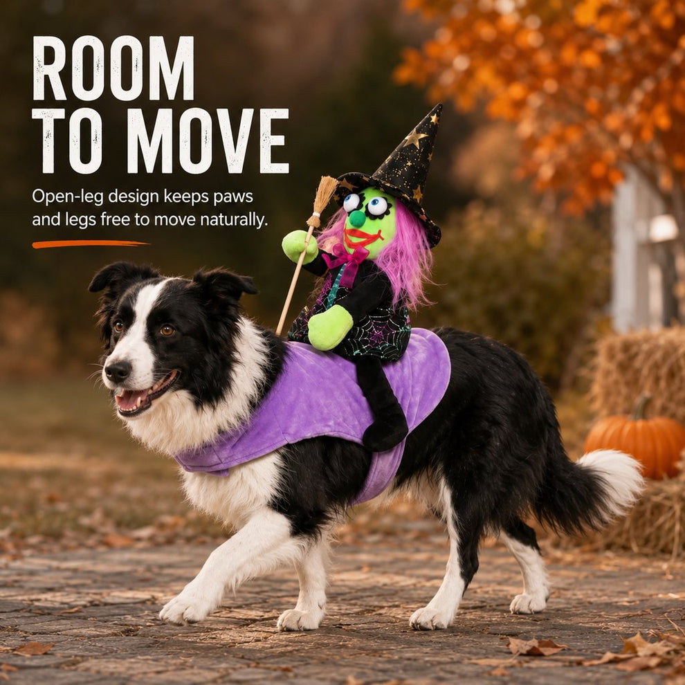 Paws in Awe 3D Witch Rider Halloween Pet Costume for Trick-or-Treating, Parties & Photos – Instant Funny Look for Dogs & Cats image 6