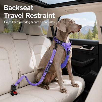 Paws in Awe Reflective Dog Car Seat Belt Leash for Backseat Travel & Daily Walks - Shock-Absorbing Bungee Tether to Help Reduce Pulling & Driver Distraction image 2
