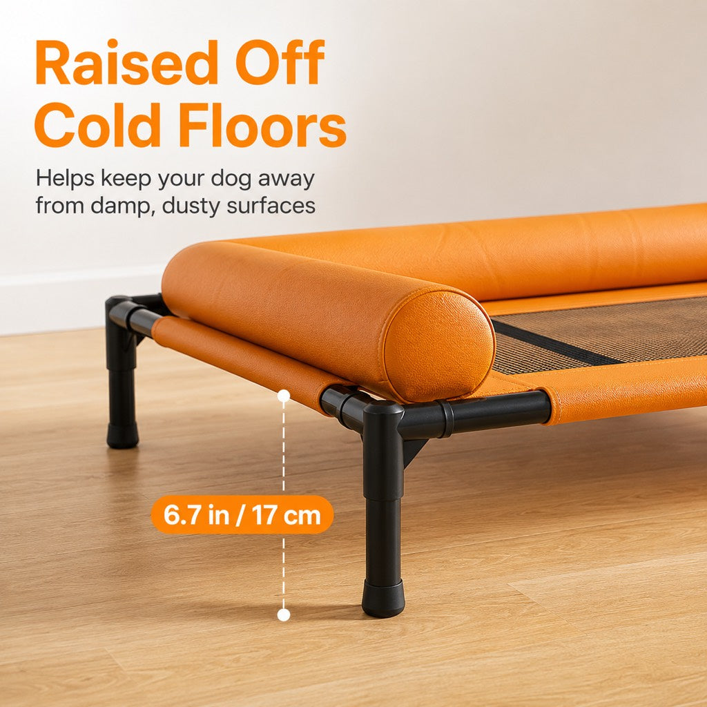 Orange elevated dog cot with soft bolsters