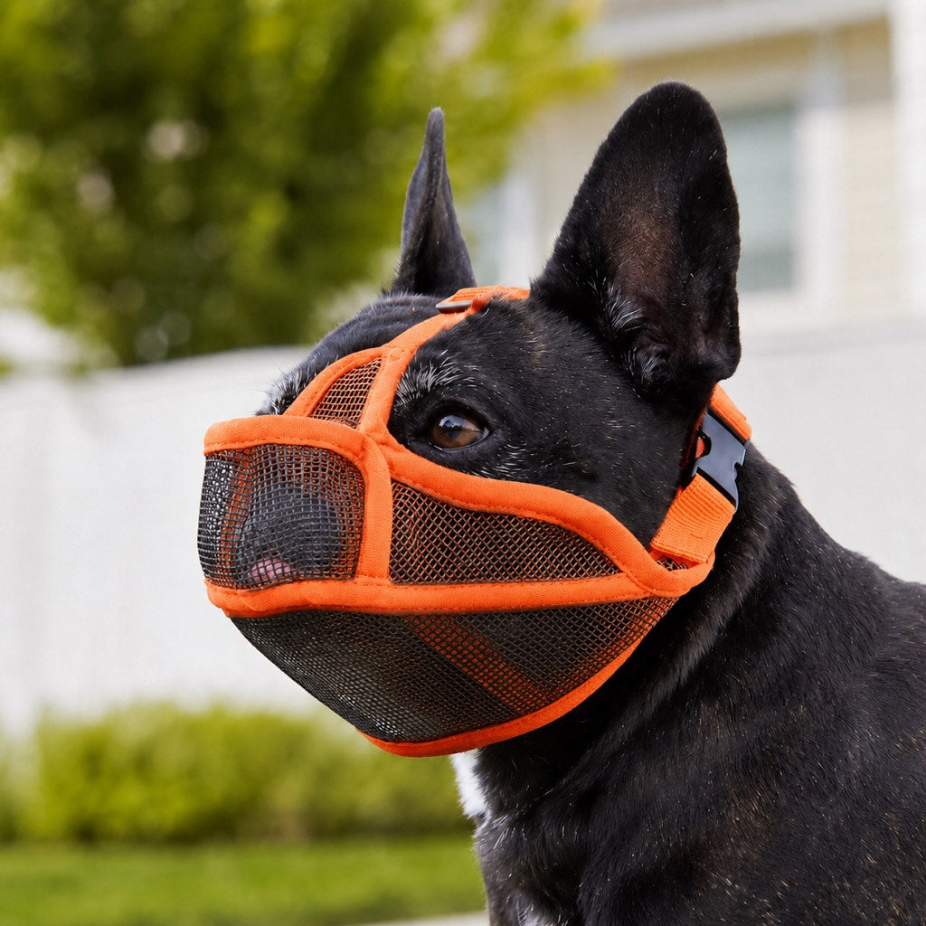 Orange French Bulldog breathable mesh muzzle