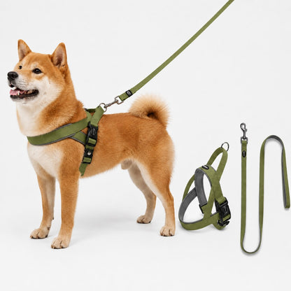 Paws in Awe Quick-Fit Lightweight Dog Harness & Leash Set for Daily Walks - No-Choke Step-In Comfort with Secure Buckle & Back Control Handle image 17