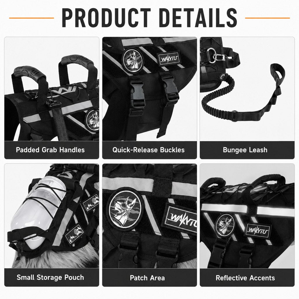Outdoor dog harness and bungee leash set for walking and hiking