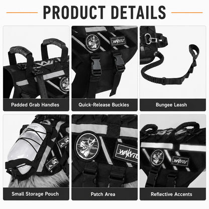 Outdoor dog harness and bungee leash set for walking and hiking