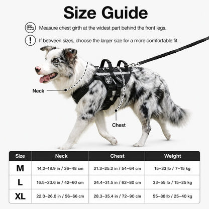 Outdoor dog harness and bungee leash set for walking and hiking