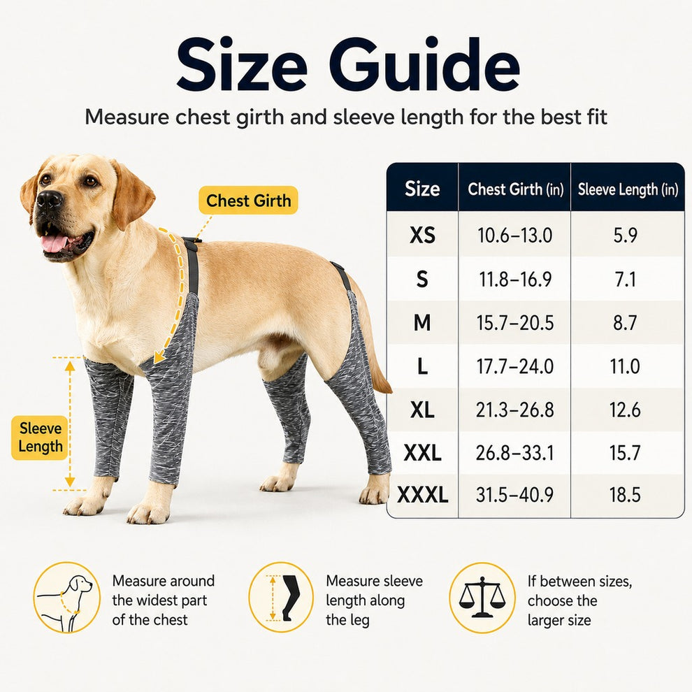 Paws in Awe 4-Leg Outdoor Dog Sleeves for Walks - Helps Keep Legs Cleaner image 9