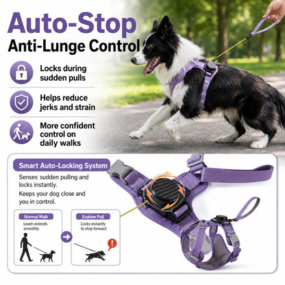 Paws in Awe 2-in-1 Retractable Dog Harness for Daily Walks - Built-In Leash Vest with Auto-Stop Control for Small & Medium Dogs image 4