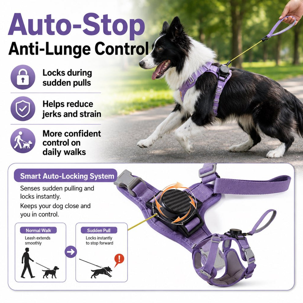 Paws in Awe 2-in-1 Retractable Dog Harness for Daily Walks - Built-In Leash Vest with Auto-Stop Control for Small & Medium Dogs image 4