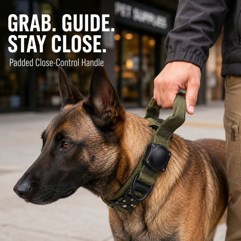 Padded control handle on tactical dog collar