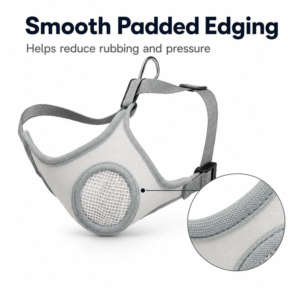 Paws in Awe Breathable Dog Muzzle for Walks, Grooming & Vet Visits - Soft Adjustable Mesh Muzzle to Help Reduce Biting, Chewing & Barking image 9