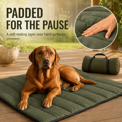 Padded portable dog travel mat for rest breaks