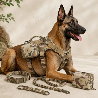 Paws in Awe 5-Piece Tactical Dog Harness Set for Hiking & Training main image