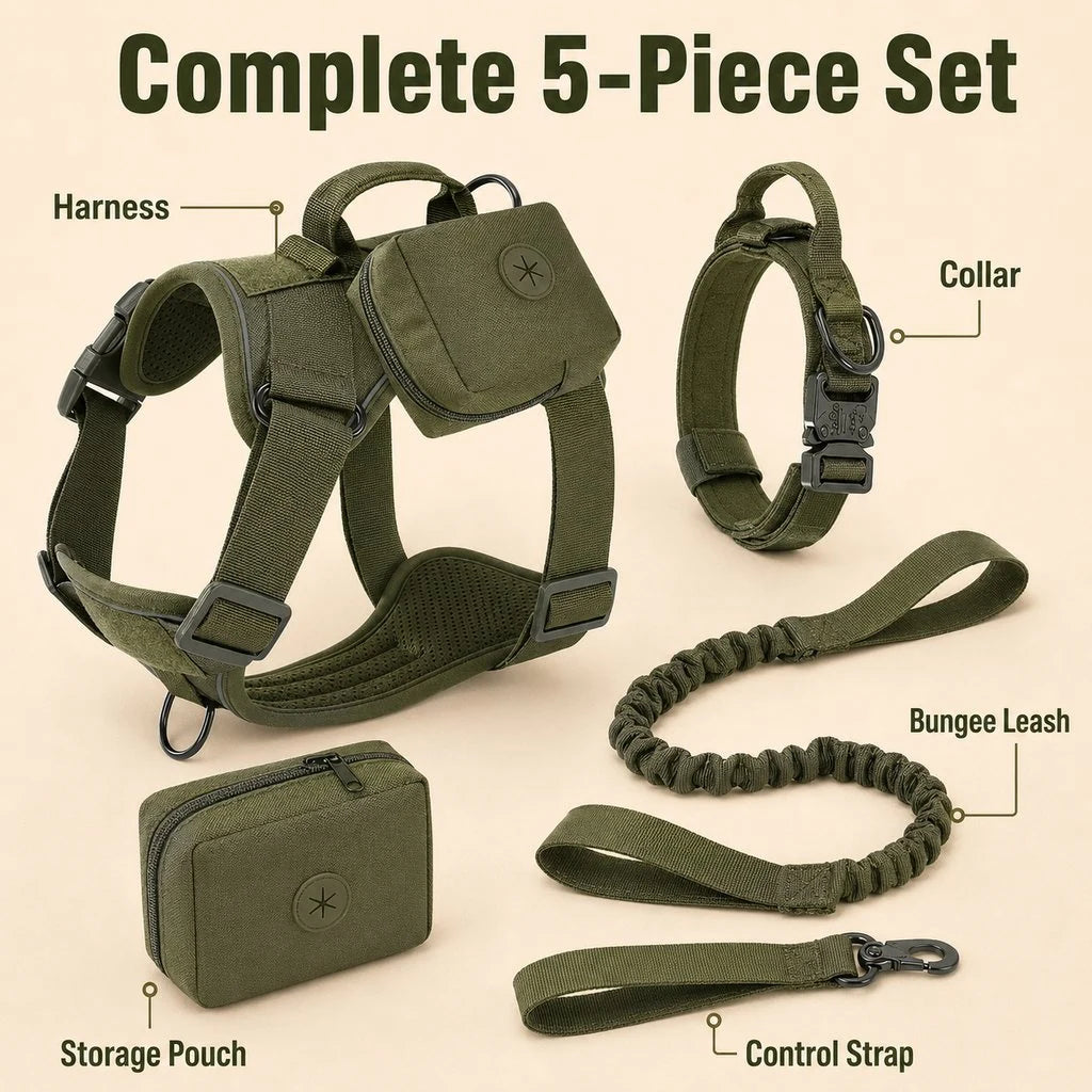 Paws in Awe 5-Piece Tactical Dog Harness Set for Hiking & Training product image 2