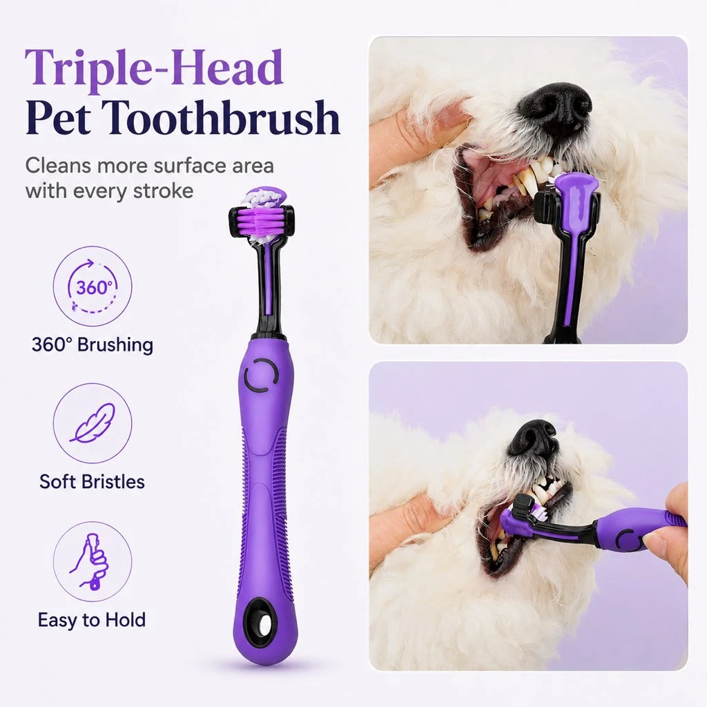 Paws in Awe 9-Piece Pet Grooming Kit for Dogs & Cats product image 9