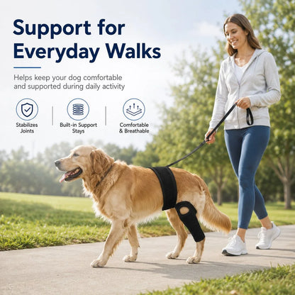 Paws in Awe Adjustable Dog Joint Support Brace for Daily Walks & Senior Leg Stability image 2