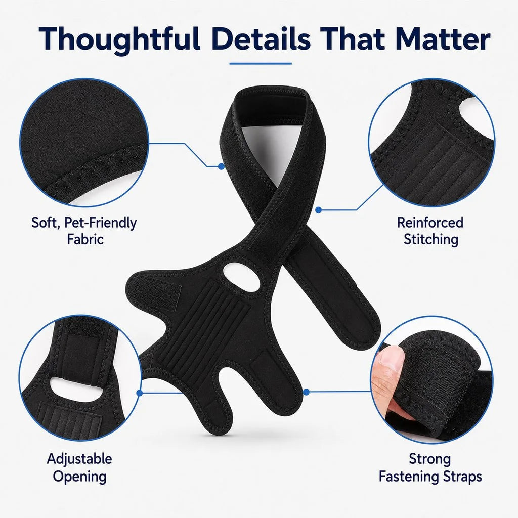 Paws in Awe Adjustable Dog Joint Support Brace for Daily Walks & Senior Leg Stability image 10