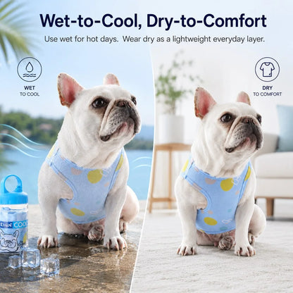 Paws in Awe French Bulldog Cooling Vest for Summer Walks image 7