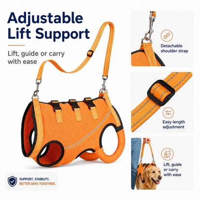 Paws in Awe Full-Body Dog Mobility Support Harness for Stairs & Car Rides image 9