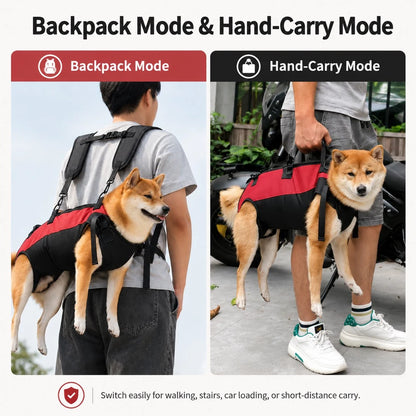 Paws in Awe Hands-Free Dog Carrier Harness Backpack for Walks, Hiking & Travel product image 4