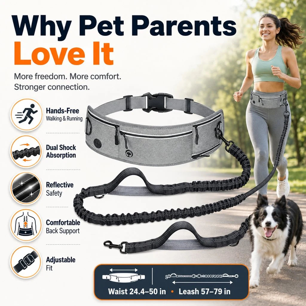 Paws in Awe Hands-Free Dog Running Leash Waist Belt product image 2