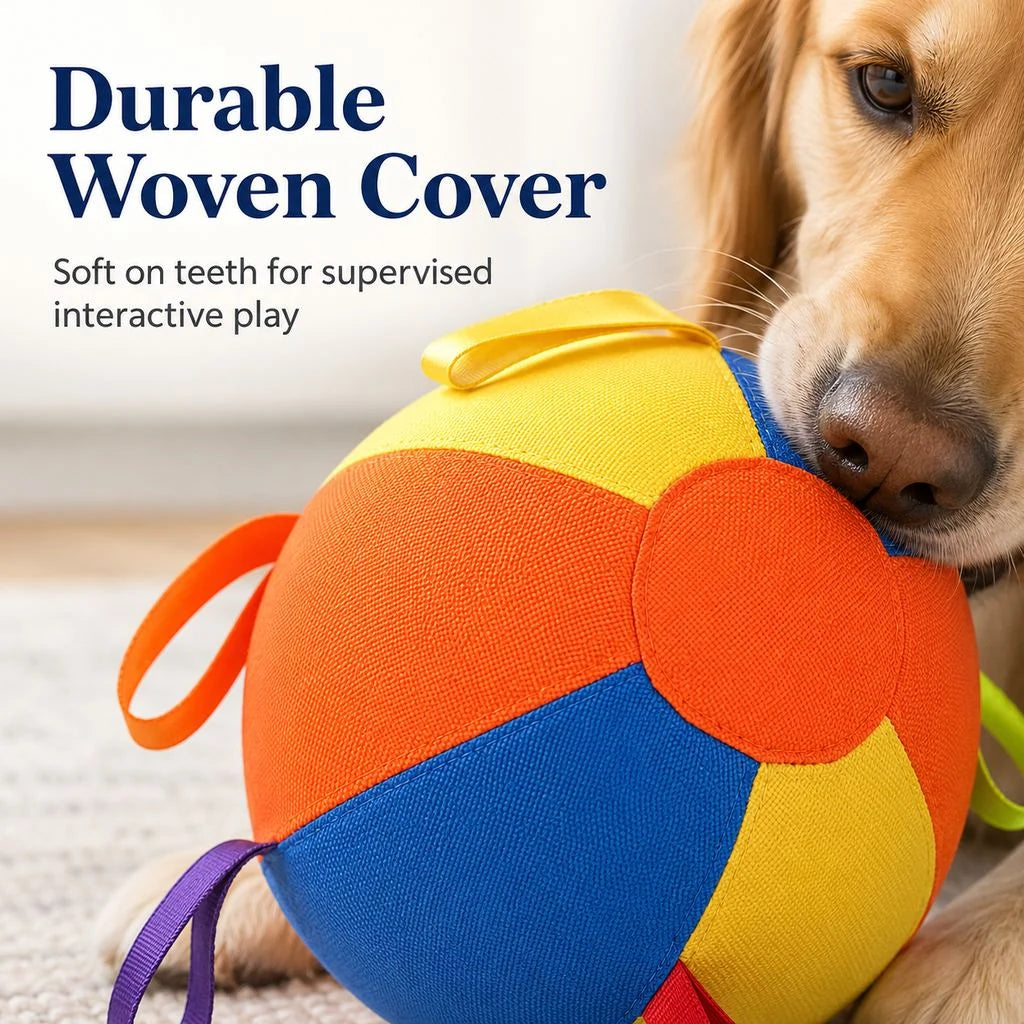 Paws in Awe Inflatable Dog Play Ball for Backyard & Indoor Play product image 7