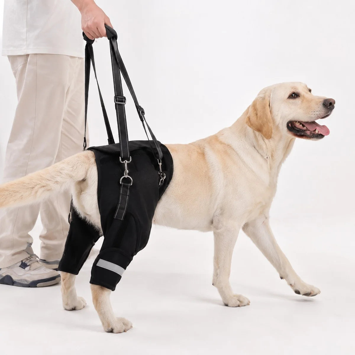 Paws in Awe Rear Support Dog Lift Harness for Senior & Injured Dogs main image