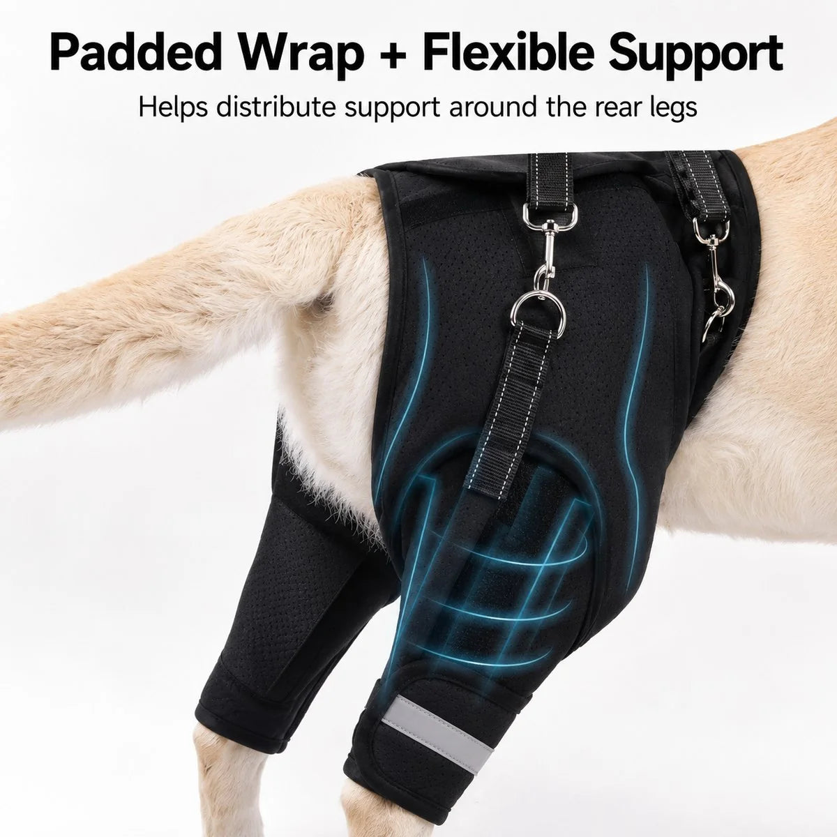 Paws in Awe Rear Support Dog Lift Harness for Senior & Injured Dogs image 4