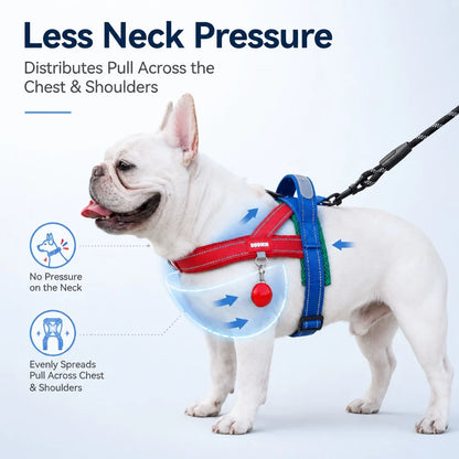 Paws in Awe Reflective French Bulldog Harness & Leash Set for Daily Walks image 3