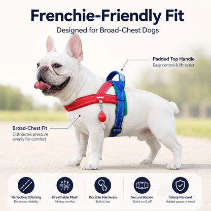 Paws in Awe Reflective French Bulldog Harness & Leash Set for Daily Walks image 6