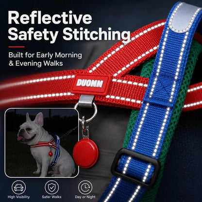 Paws in Awe Reflective French Bulldog Harness & Leash Set for Daily Walks image 8