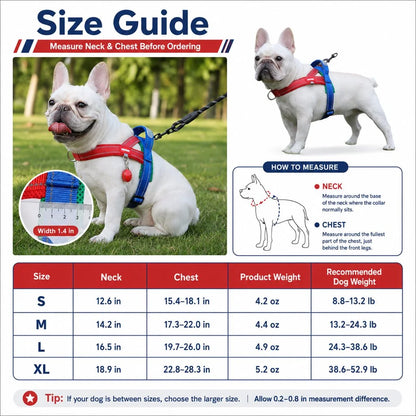 Paws in Awe Reflective French Bulldog Harness & Leash Set for Daily Walks image 10