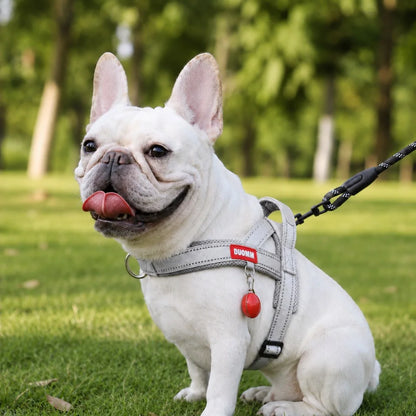 Paws in Awe Reflective French Bulldog Harness & Leash Set for Daily Walks image 13