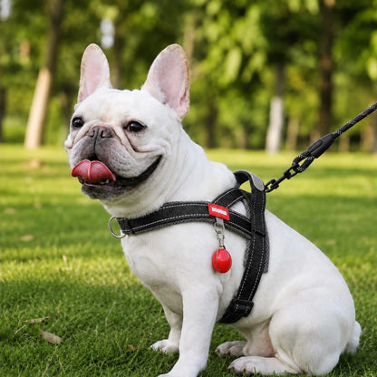Paws in Awe Reflective French Bulldog Harness & Leash Set for Daily Walks image 12