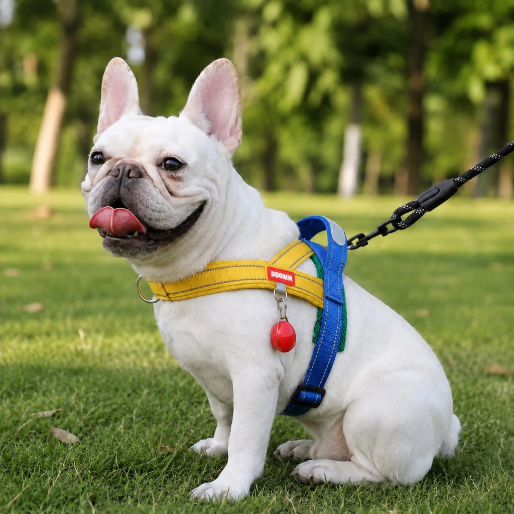 Paws in Awe Reflective French Bulldog Harness & Leash Set for Daily Walks image 15