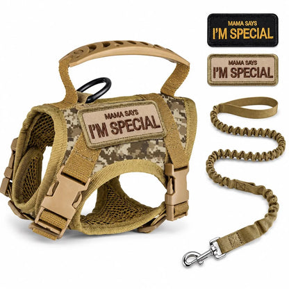 Paws in Awe Tactical Cat Harness & Leash Set main image