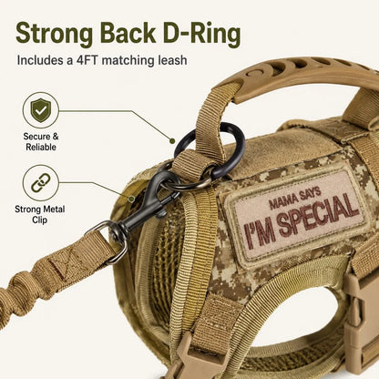Paws in Awe Tactical Cat Harness & Leash Set image 9