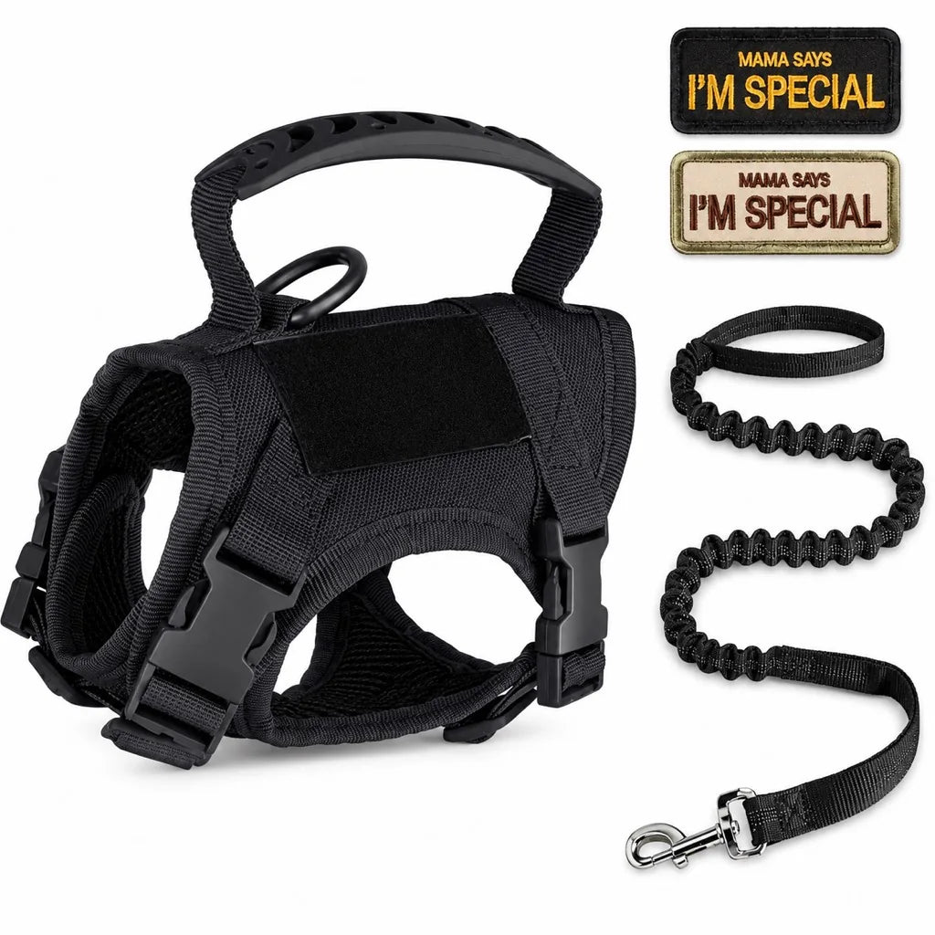 Paws in Awe Tactical Cat Harness & Leash Set image 12