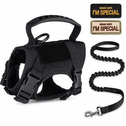 Paws in Awe Tactical Cat Harness & Leash Set image 12